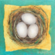 New Beginnings (6) - Nests Series